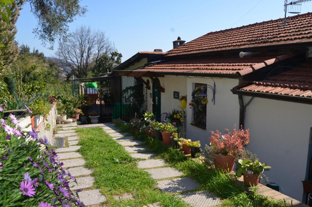 La Pineta Bed & Breakfast Pitelli Exterior foto